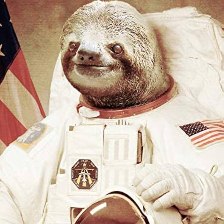 Josh Walter Profile image